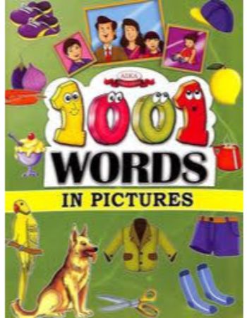 1001 Words In Picture